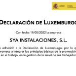 Declaración de Luxemburgo